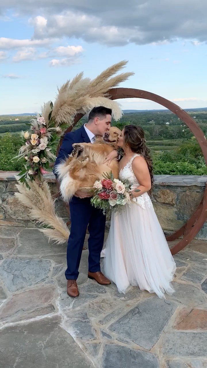 Bride and groom posing with their fluffy golden dog in front of a floral arch.