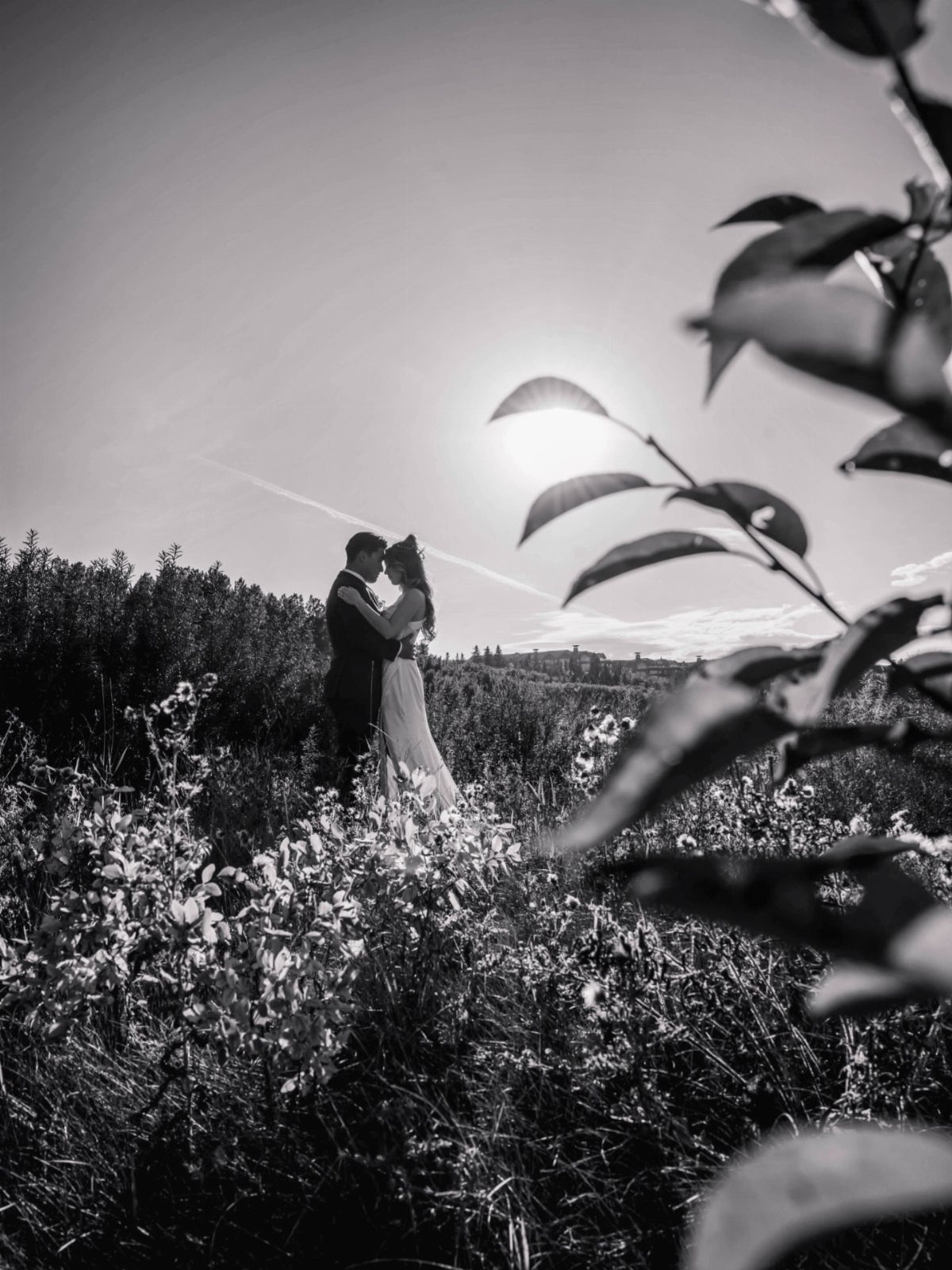 Bride and groom facing each other in a wildflower field with backlit silhouettes.