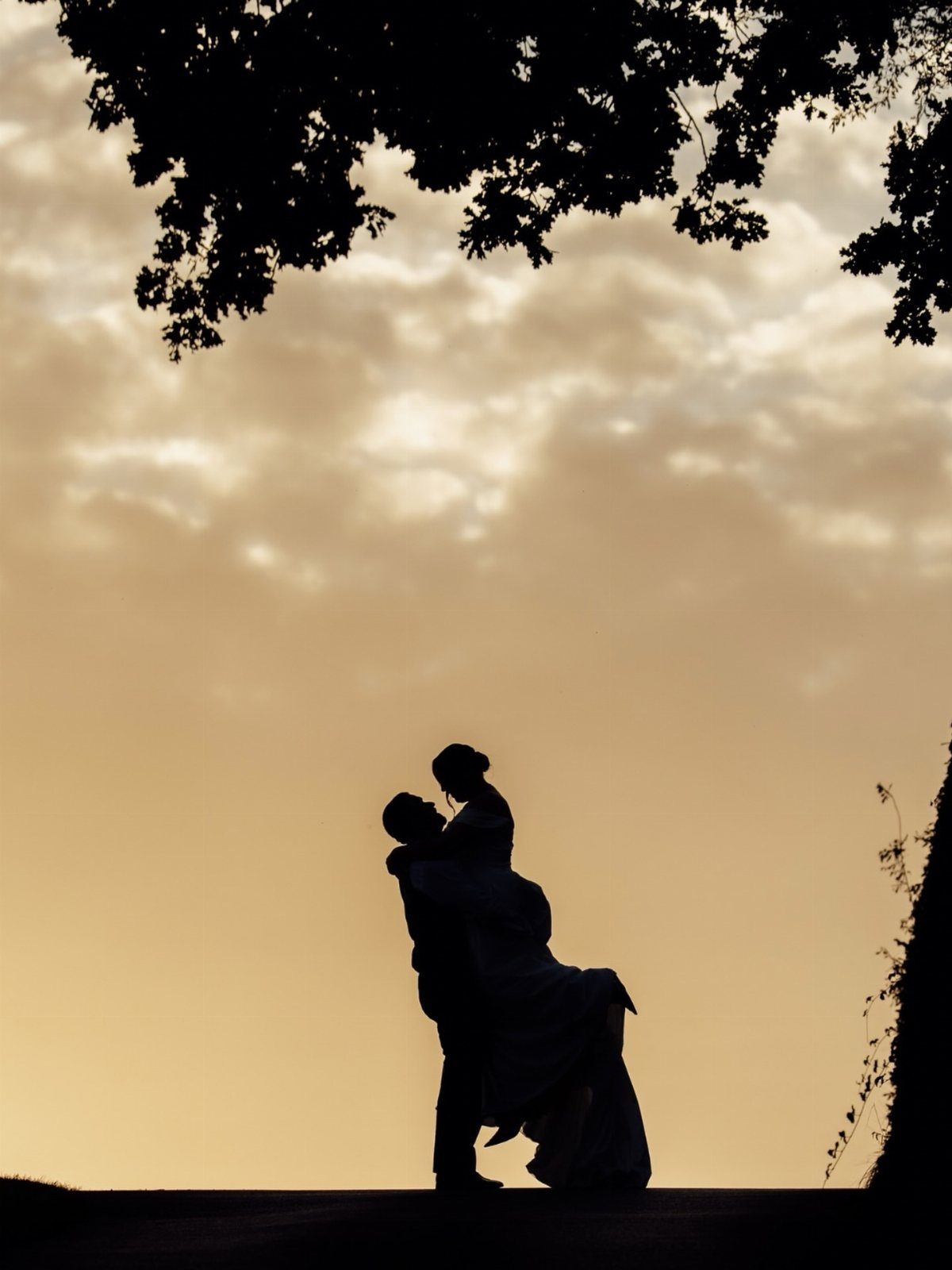 Silhouette of a couple kissing during a golden sunset under tree branches.