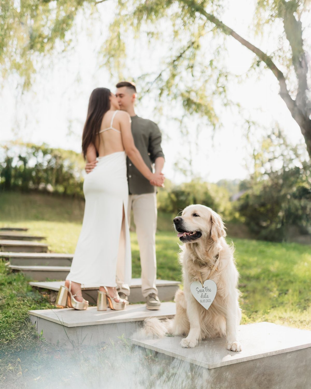 Golden retriever sitting on concrete steps with a couple kissing in the background.
