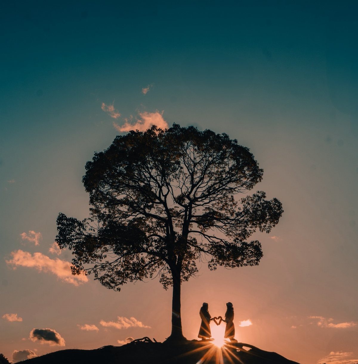 Couple forming a heart with their hands under a tree at sunset silhouette