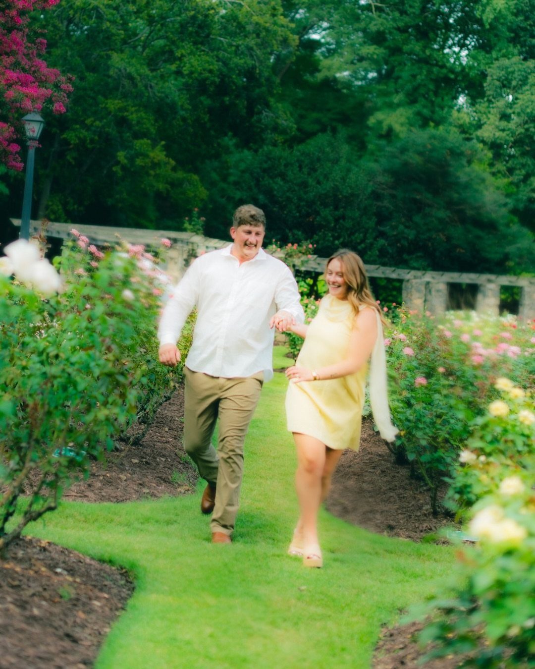 Smiling couple holding hands while walking through a garden of blooming rose bushes.