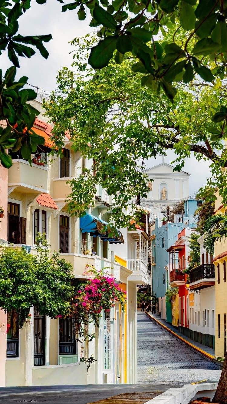 Colorful colonial buildings and pink flowers lining a cobblestone street in Old San Juan.