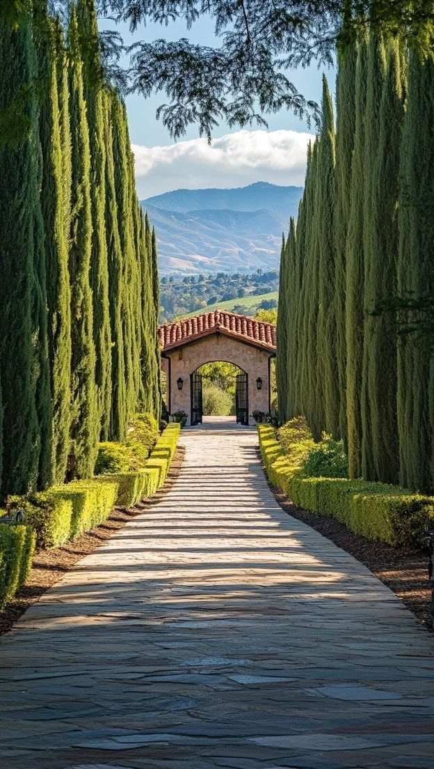 Stone pathway lined with cypress trees leading to an archway with mountains behind.