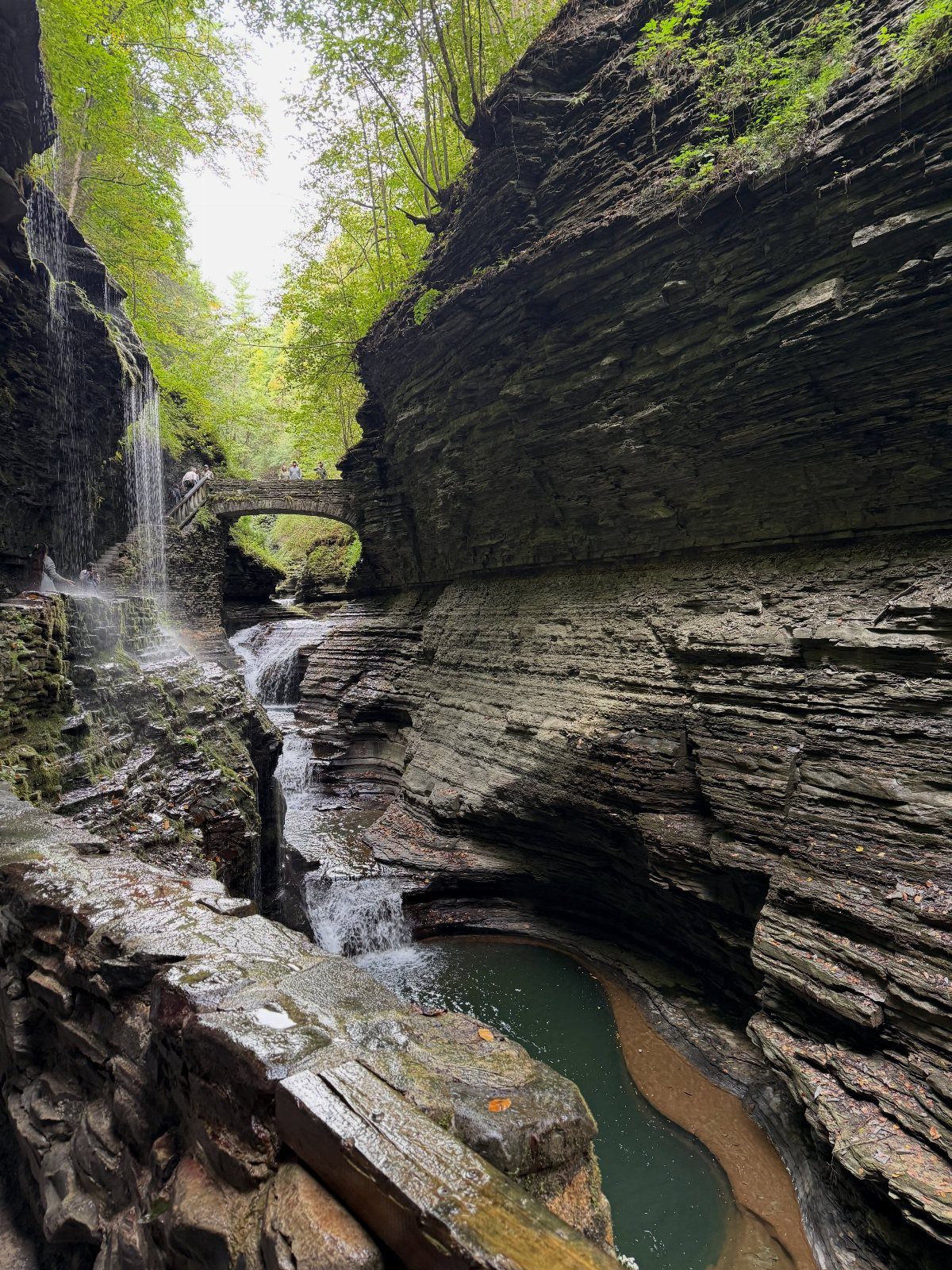 Deep rocky gorge with a waterfall and stone bridge surrounded by green trees