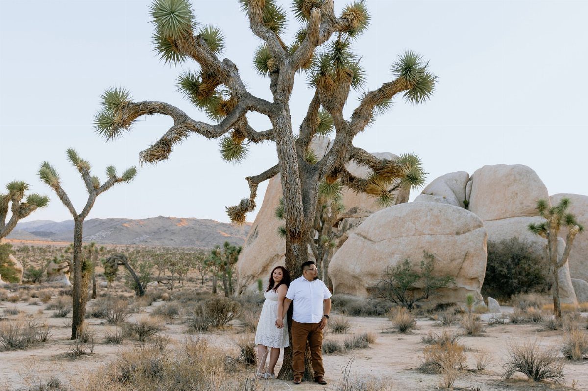Couple posing against a Joshua tree in a desert with large boulders.