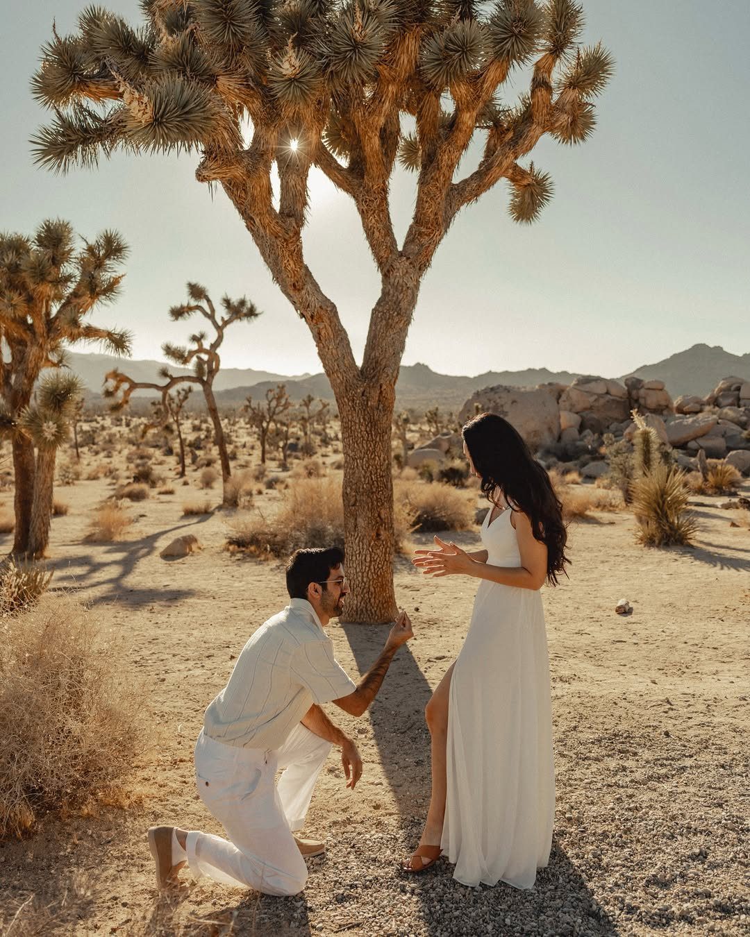 Man proposing to a woman in white dresses under a Joshua tree in desert