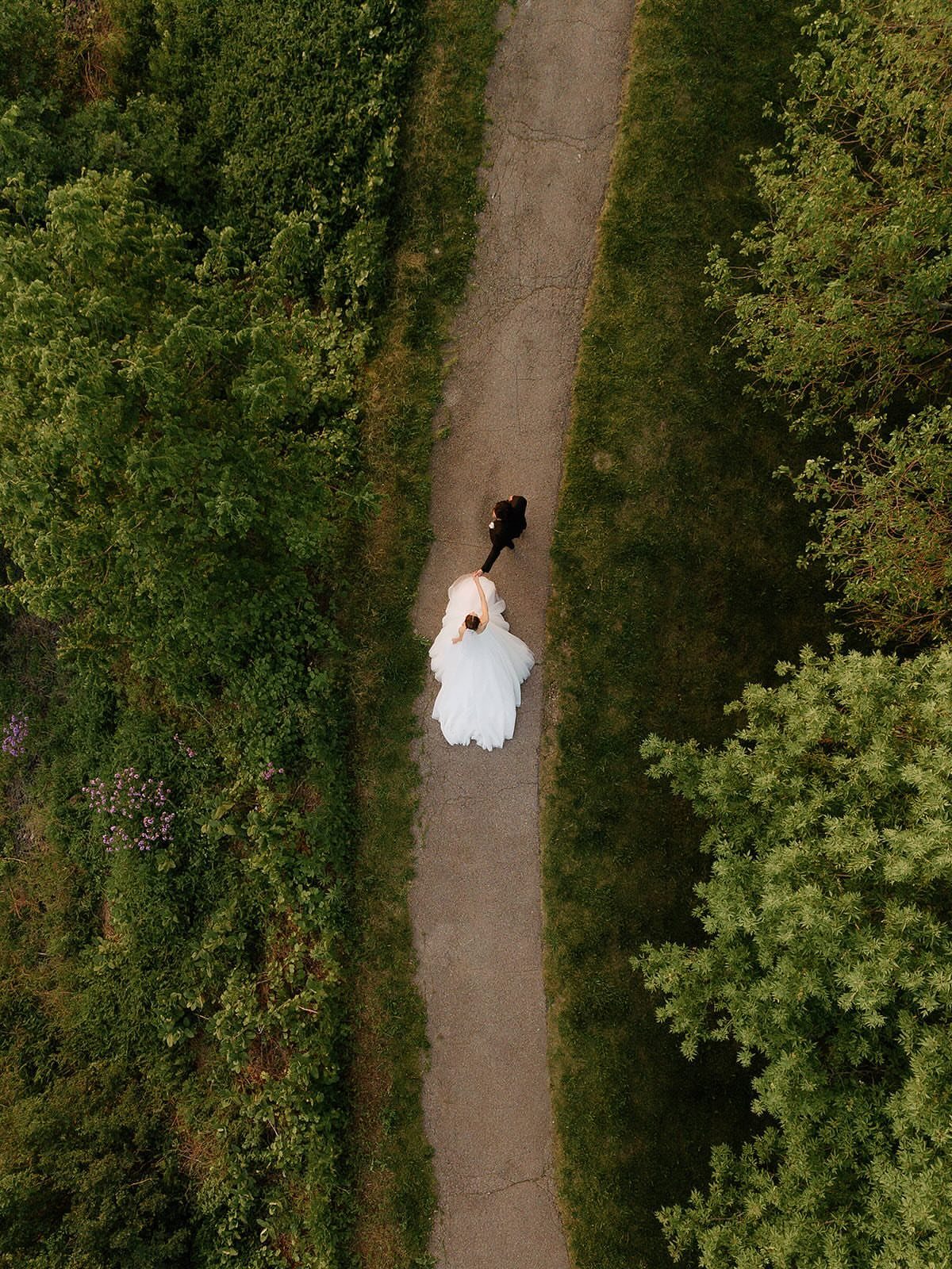 Bride in white dress walking with a dog on a path, aerial view