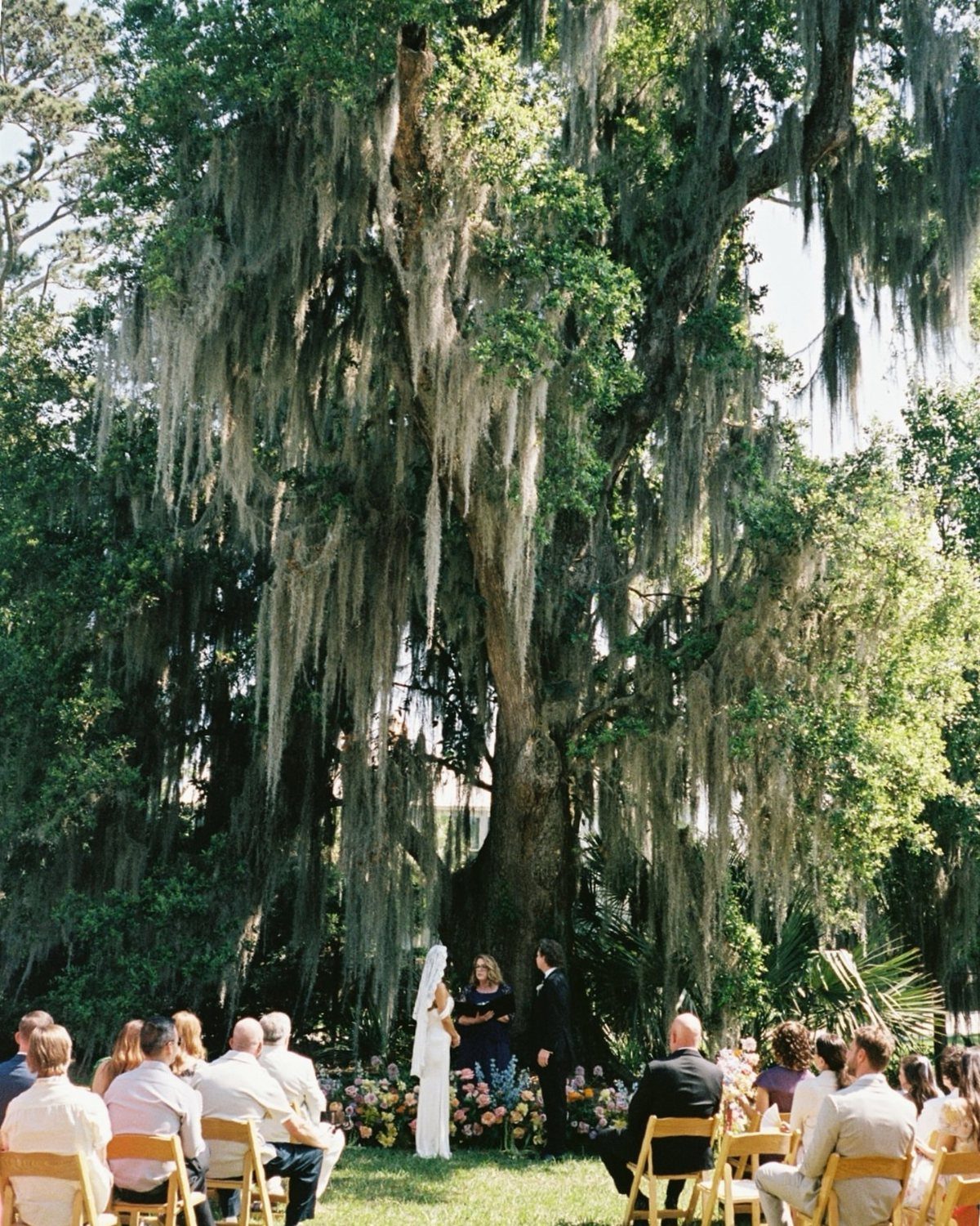 Wedding ceremony under a large oak tree with Spanish moss and seated guests.