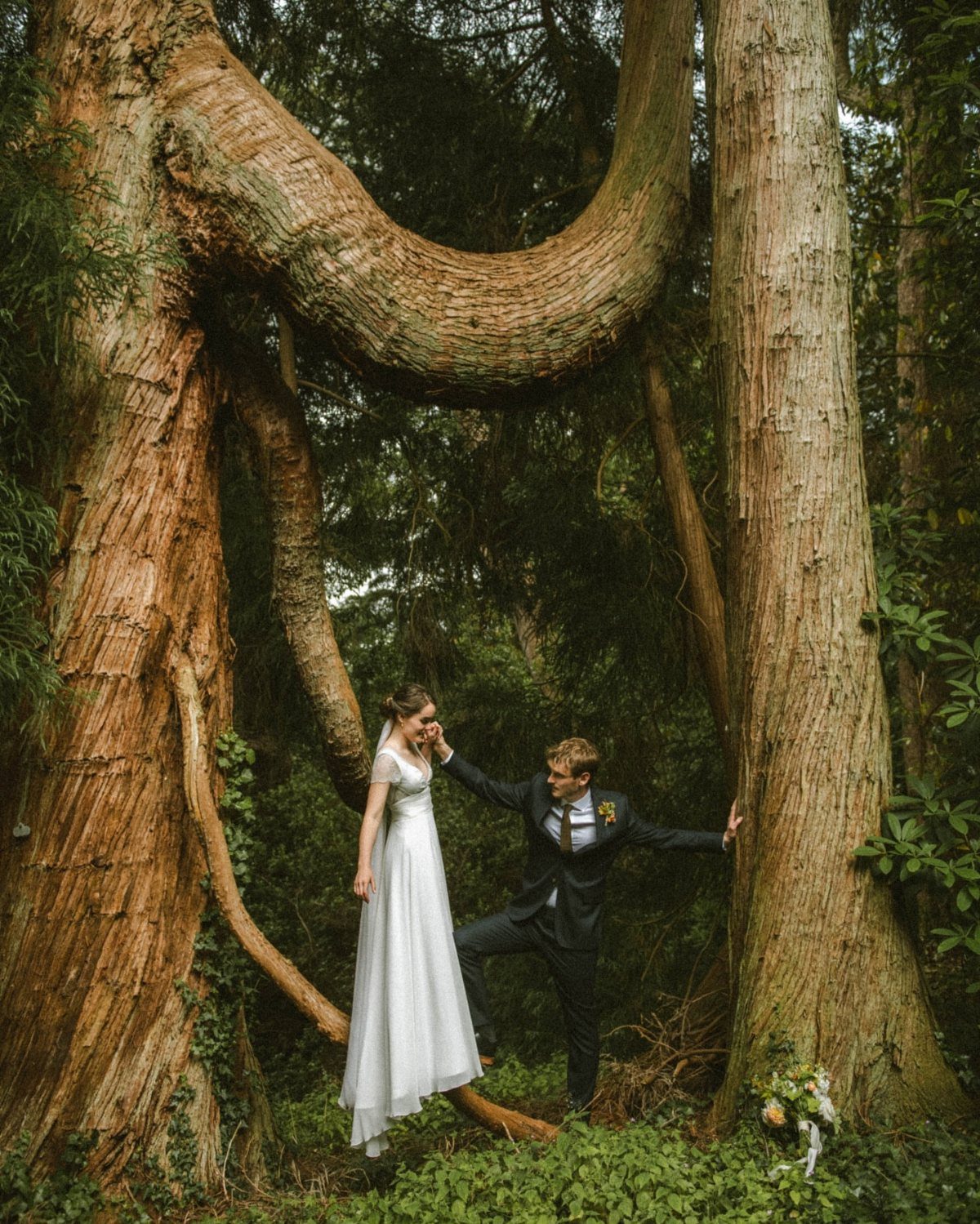 Bride and groom posing beneath a large curved tree in a dense forest