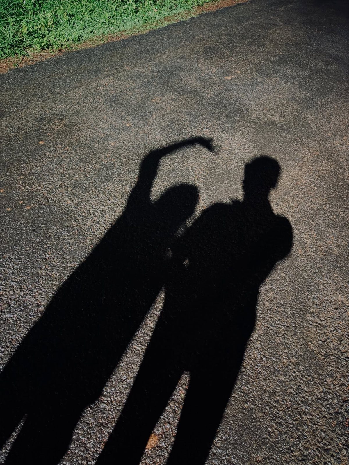 Shadows of a couple embracing on a grey asphalt road with green grass.