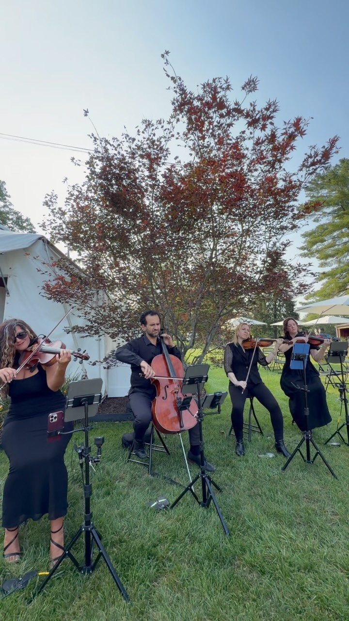 String quartet playing instruments on a green lawn in front of a tree.