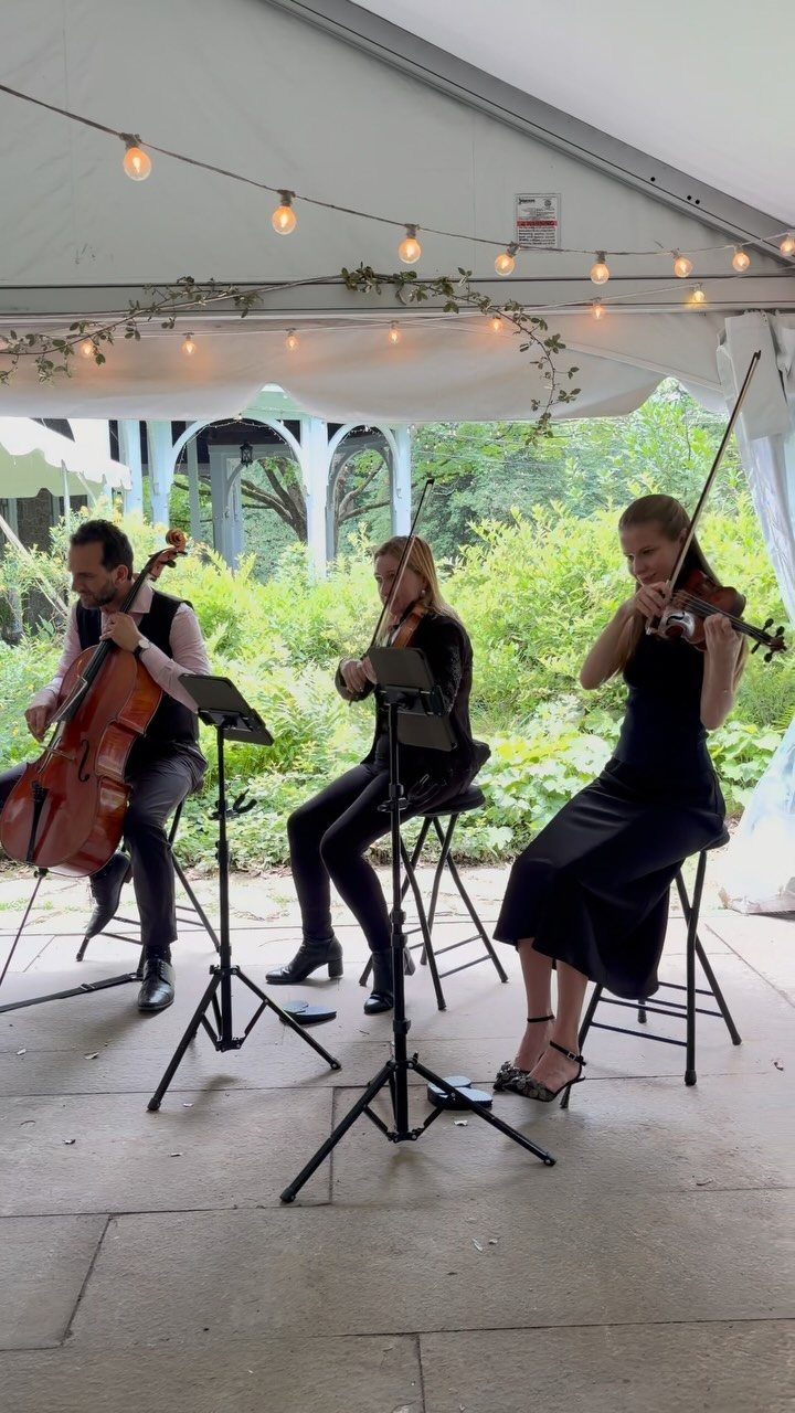 String trio playing instruments under a white tent with string lights and greenery.