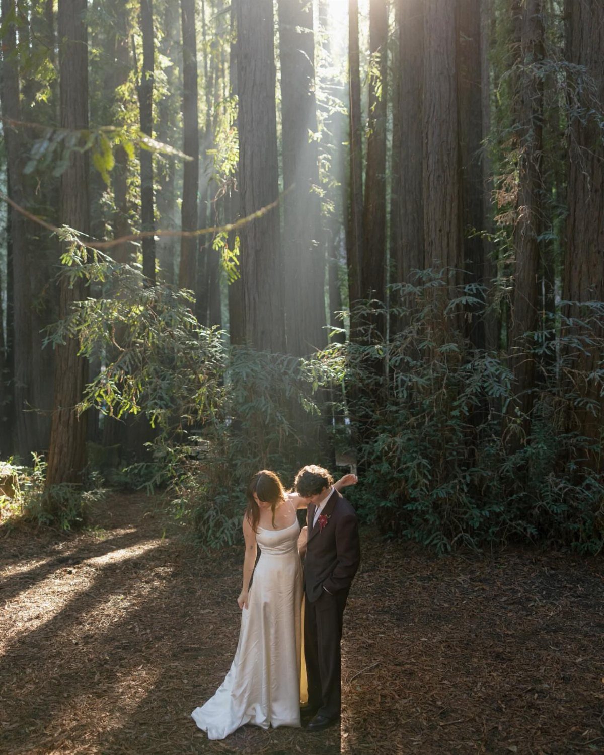 Bride and groom embracing in a sunlit redwood forest among tall trees