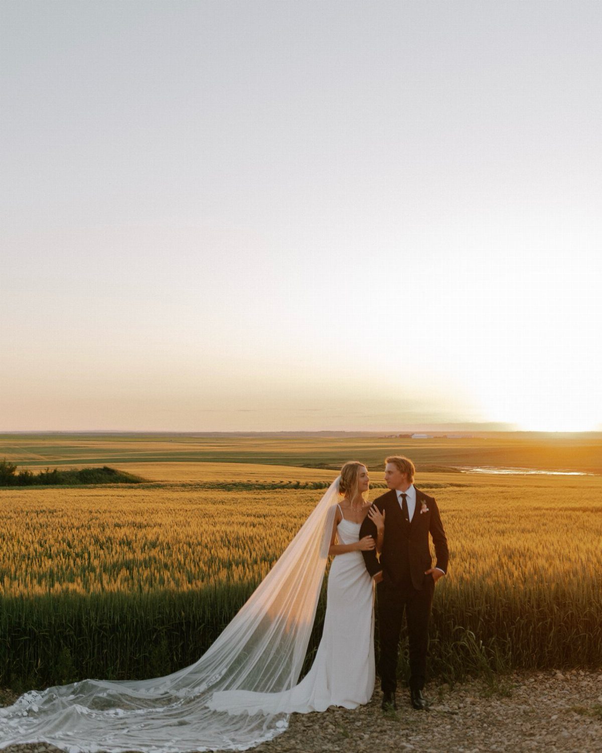 Bride and groom standing in a golden wheat field during a sunset portrait.