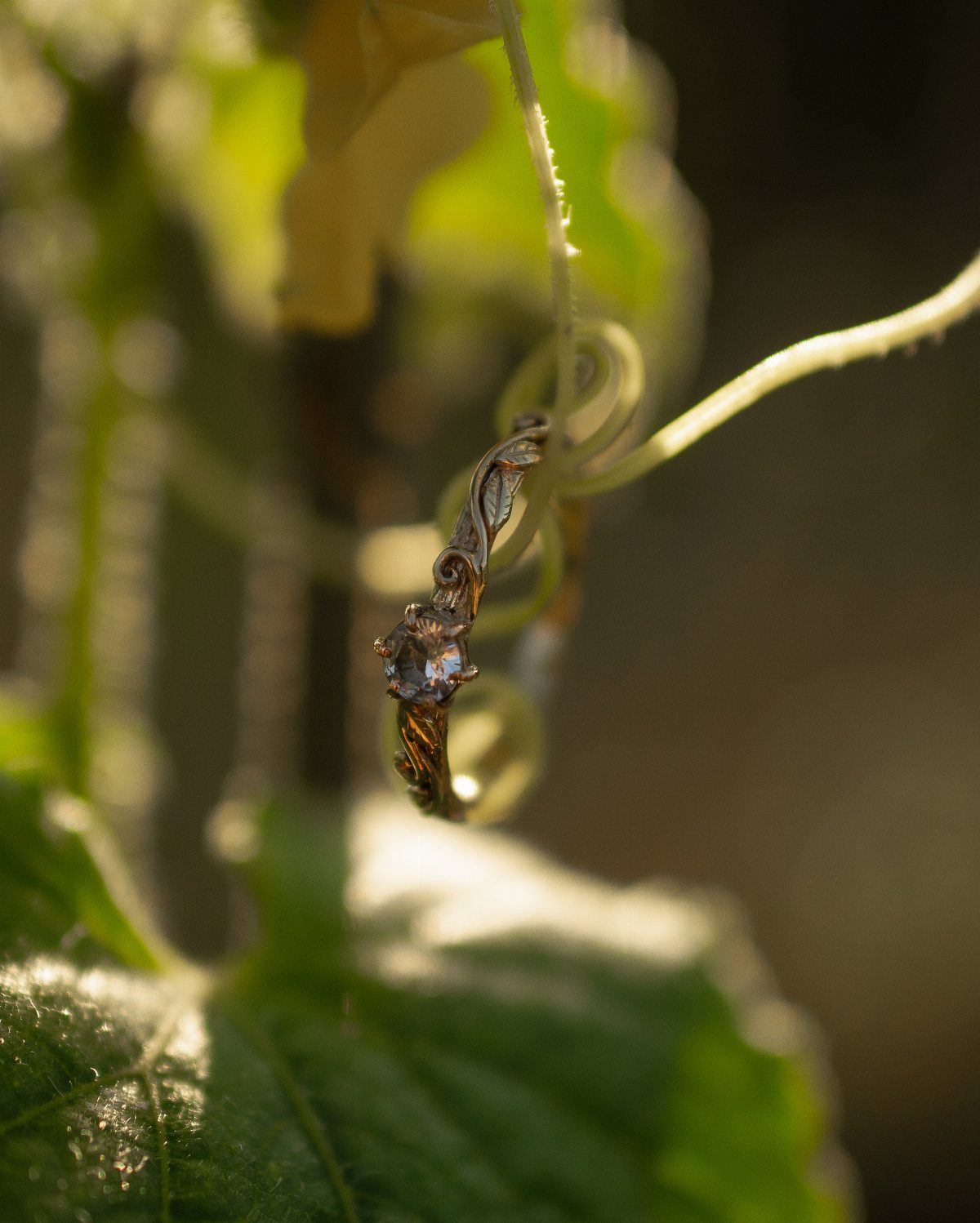 Gold diamond engagement ring hanging from a curling green vine among sunlit leaves